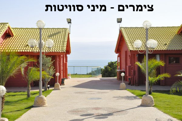 ביאנקיני